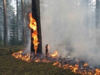 Уважаемые жители Подмосковья! Не допускайте природных пожаров!