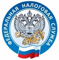 Услугами ФНС России можно воспользоваться на Портале госуслуг