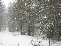 13 января в Московской области ожидаются неблагоприятные метеорологические явления
